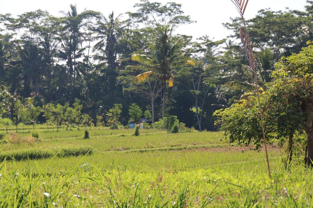 Pesantian Villa And Warung Ubud Zewnętrze zdjęcie